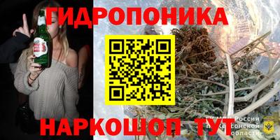 соль ск Кингисепп