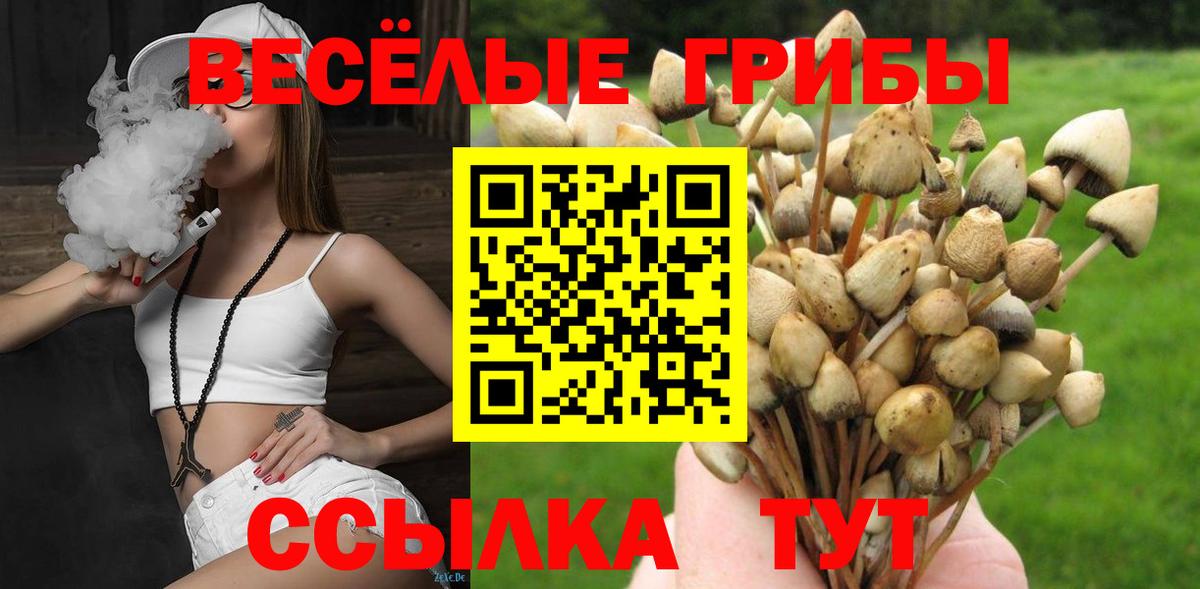 Краснодар  Псилоцибиновые грибы мухоморы  Вход с VPN 